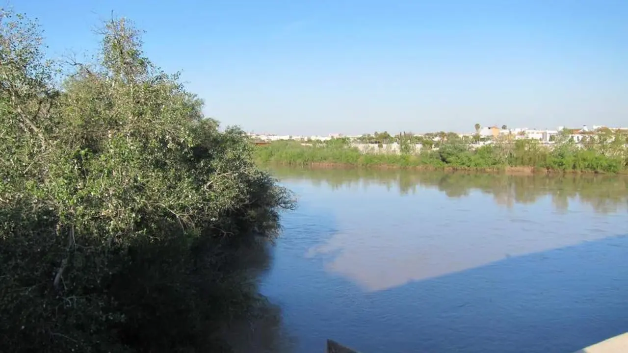 El r&iacute;o Guadalquivir a su paso por C&oacute;rdoba. - Europa Press