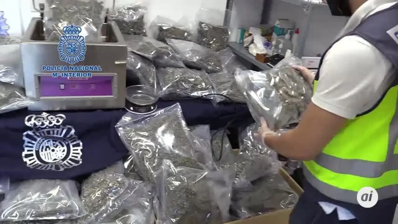 La Polic&iacute;a Nacional aborta un env&iacute;o de 100 kilos de cogollos de marihuana a Chipre