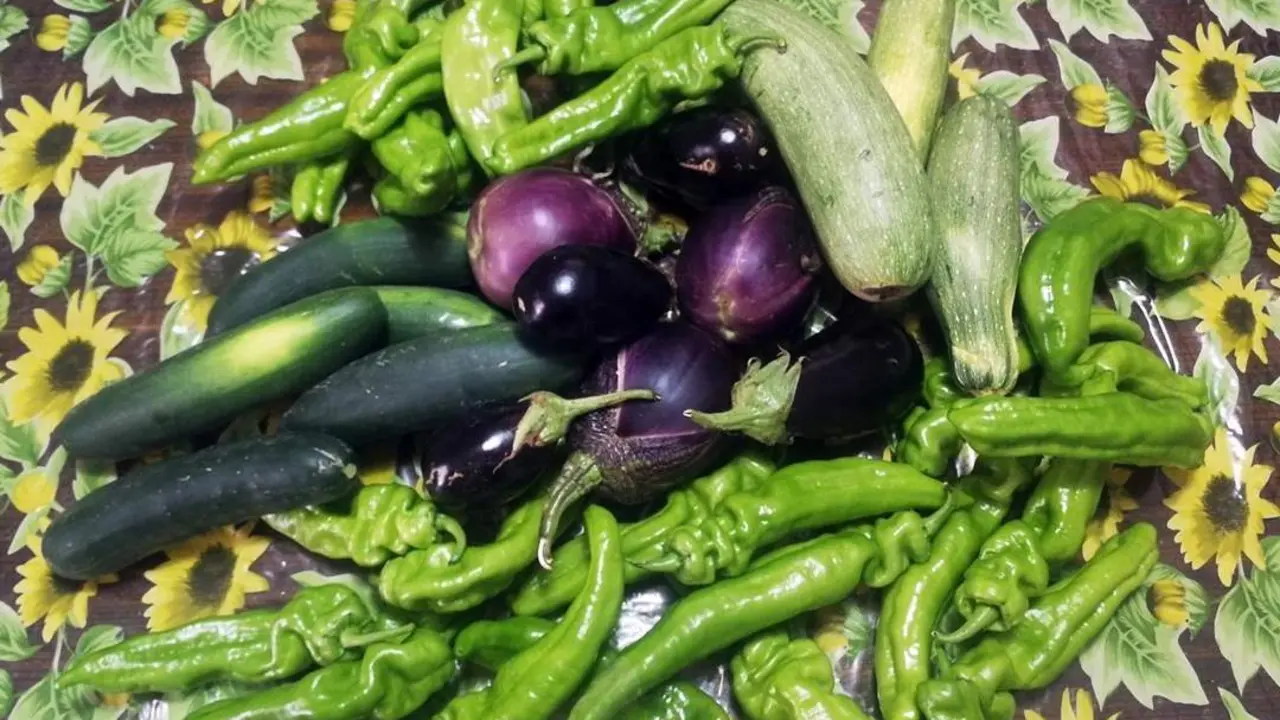 Nosotros podemos contribuir a tener consumo alimentario sostenible como adquiriendo productos de temporada. - Viva Conil