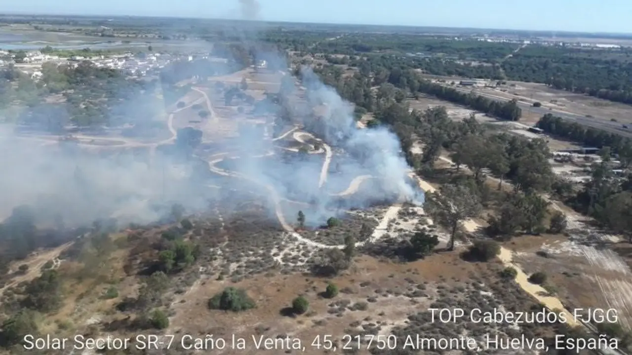 Incendio de Almonte. - INFOCA