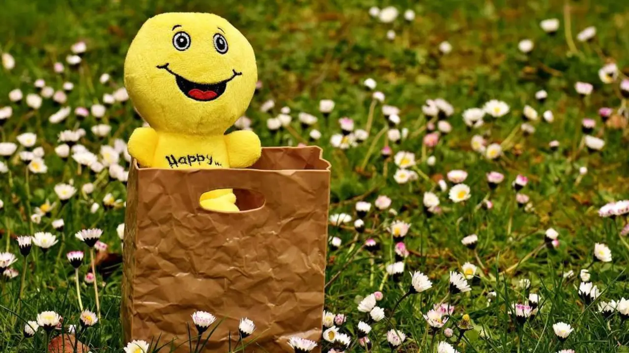 No siempre hay un final feliz. - Pixabay