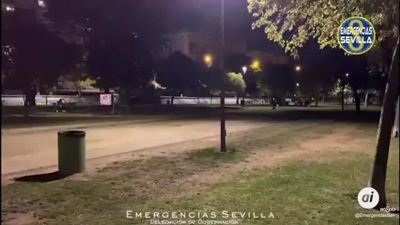Operaci&oacute;n de b&uacute;squeda de una persona ca&iacute;da al r&iacute;o en el Paseo de la O, en Sevilla