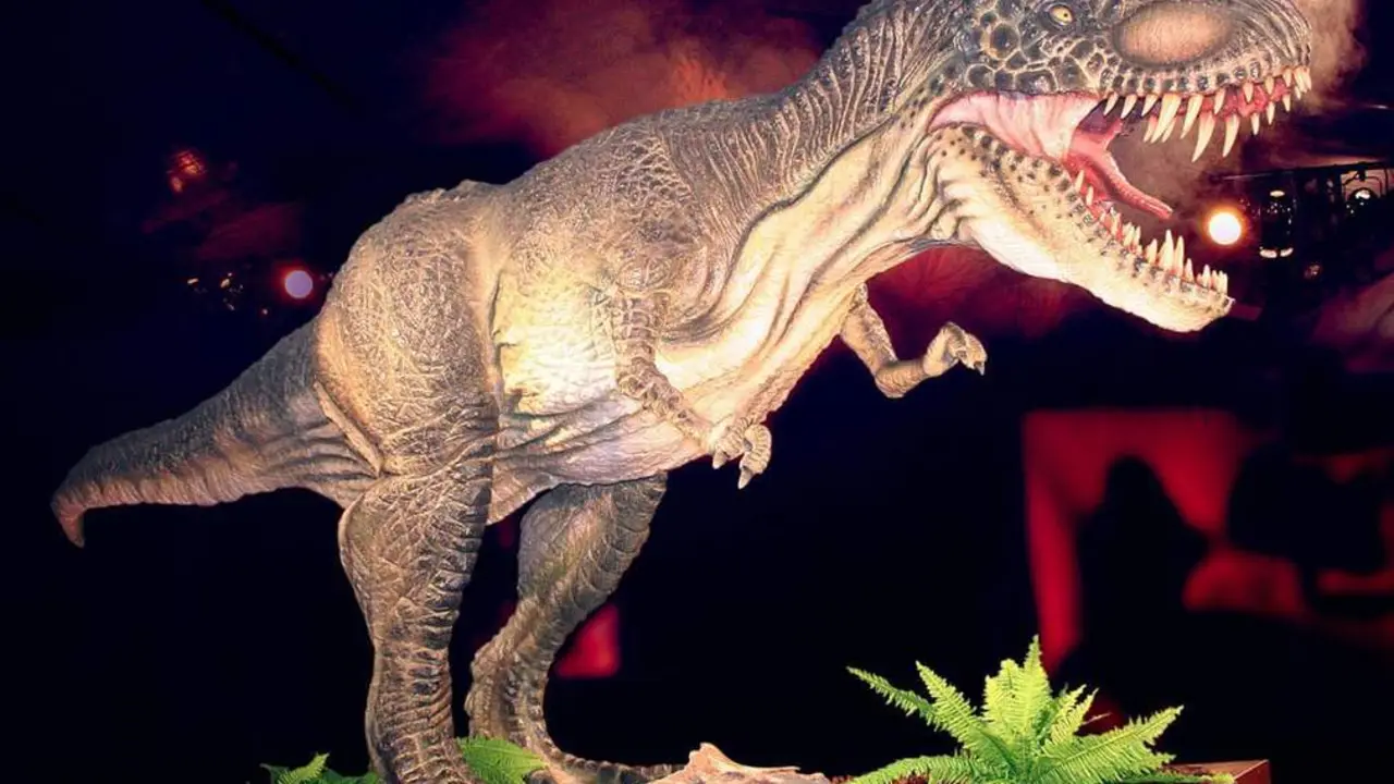 Dino Expo Estepona. - Dino Expo