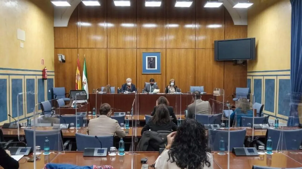Foto de archivo de una sesi&oacute;n de la comisi&oacute;n de investigaci&oacute;n sobre la Faffe creada en el Parlamento andaluz. - EP