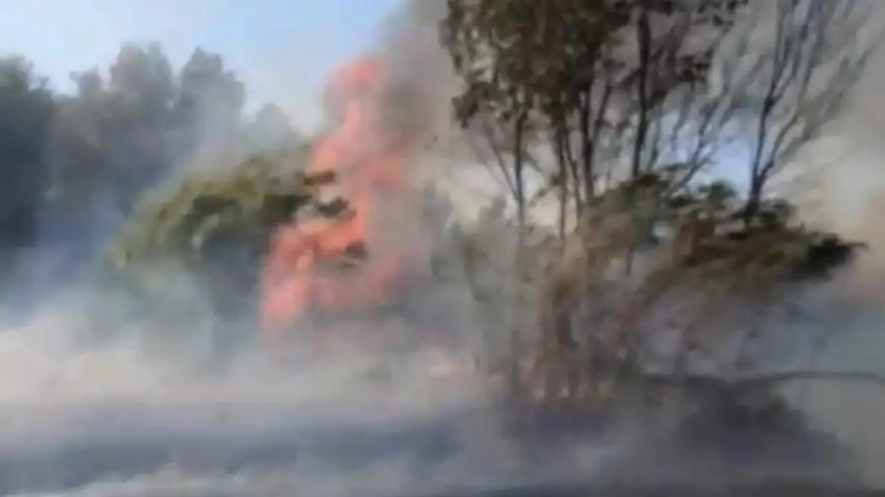 Incendio en Bollullos. - INFOCA