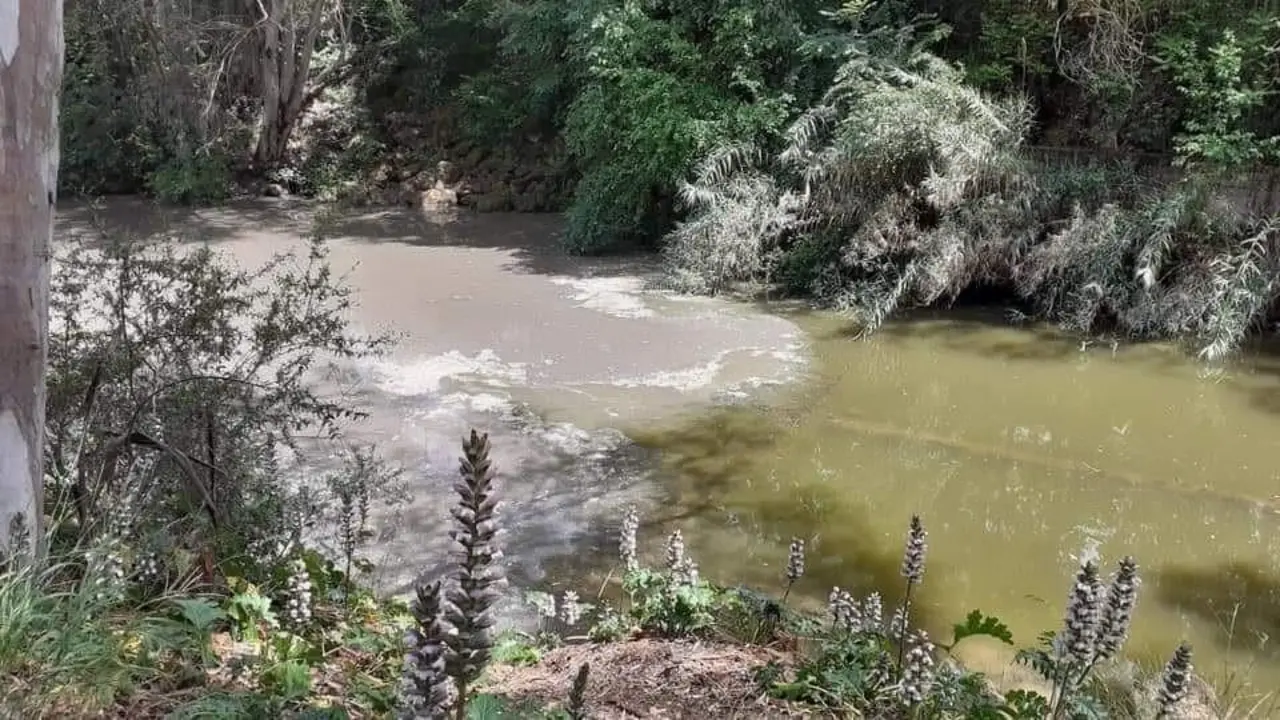 Vertido denunciado por la Plataforma del Guada&iacute;ra. - PLATAFORMA DEL GUADA&Iacute;RA
