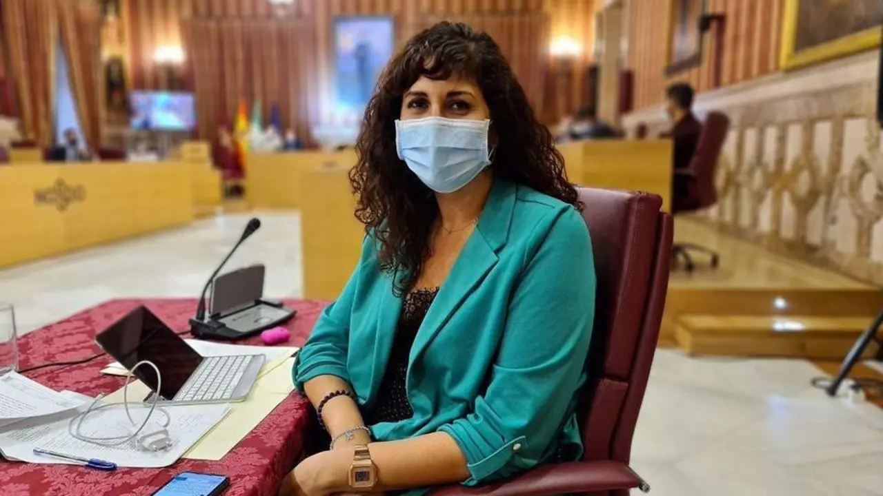 Sandra Heredia, en el Pleno municipal. - SH