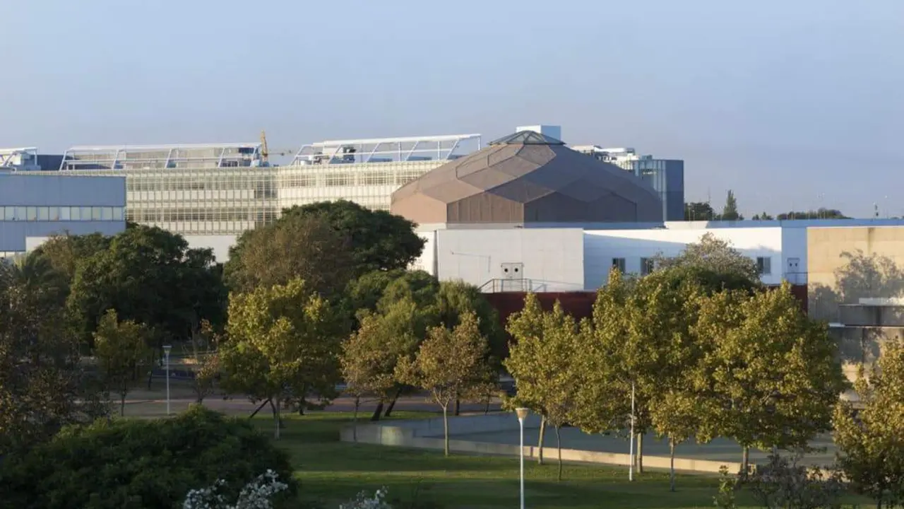 Campus del Carmen. - VH