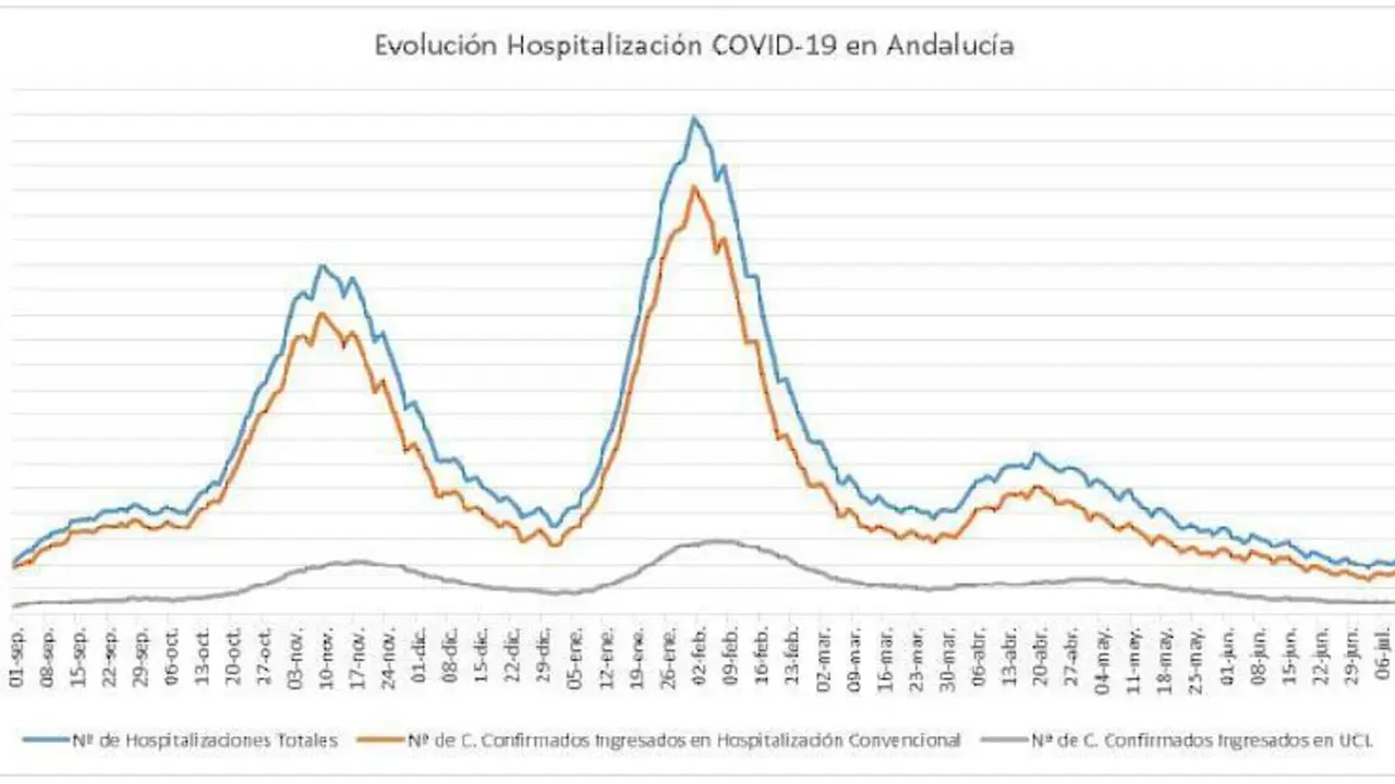 Gr&aacute;fica de hospitalizaciones. - Junta