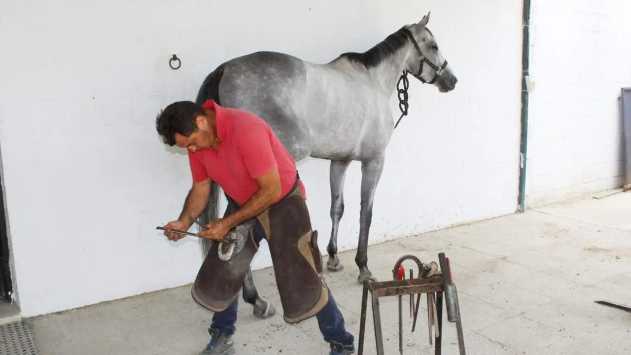 Un herrero poniendo a punto a un caballo este pasado viernes en Las Piletas - Ra&uacute;l J. Bustillos