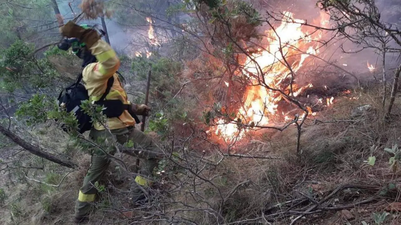 Extinci&oacute;n del Incendio. - INFOCA