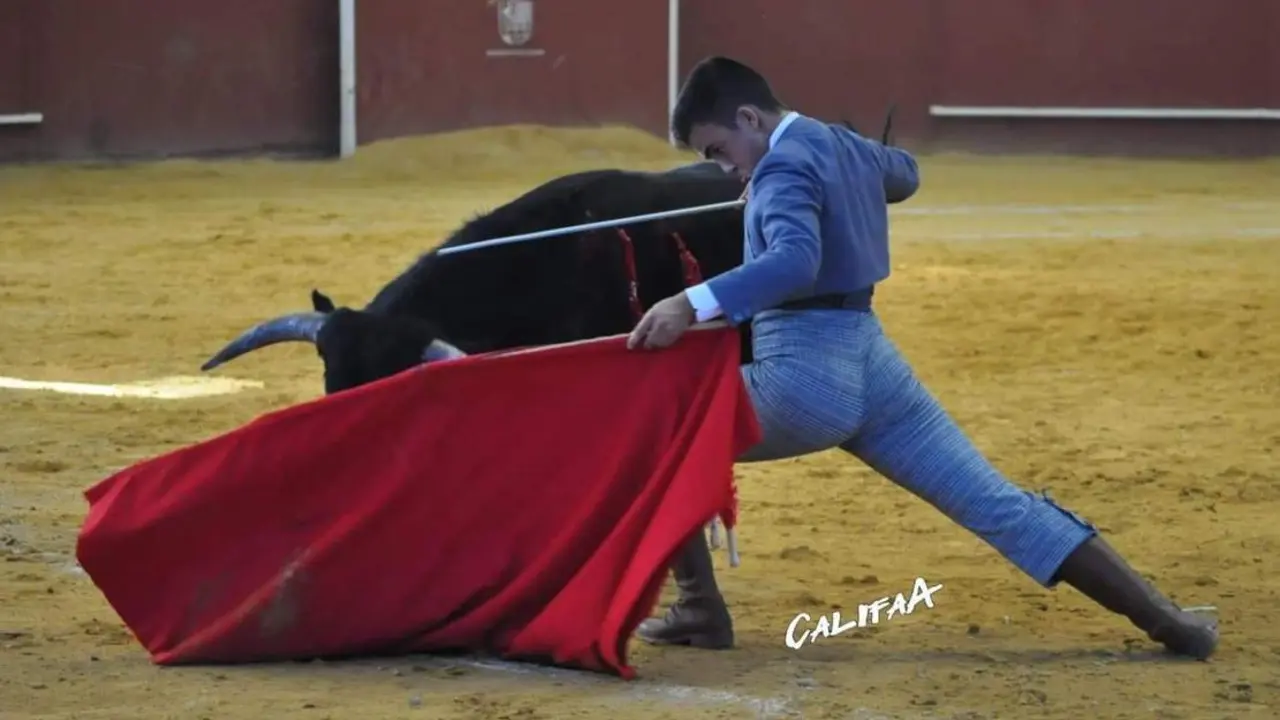 &Aacute;lvaro Dom&iacute;nguez Losa. - A.I.