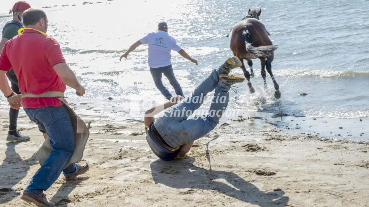 Momento en el que el caballo Gormaz decide adentrarse en el agua - Antonio S&aacute;nchez Marcos