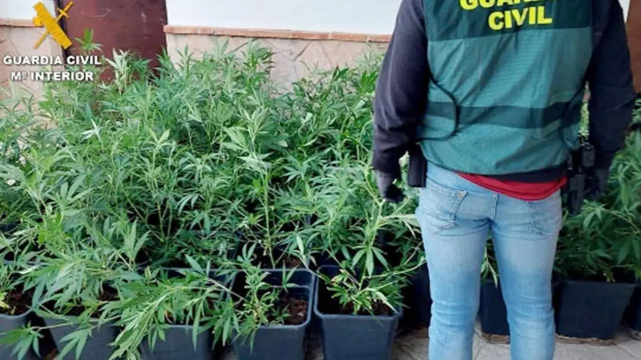 Material incautado por la Guardia Civil - GC