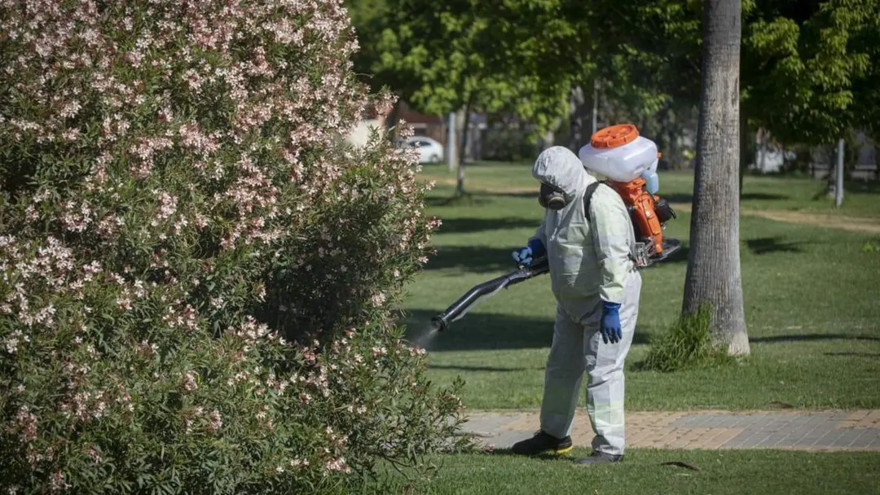 Un operario inicia las labores de fumigaci&oacute;n y el tratamiento. - EP