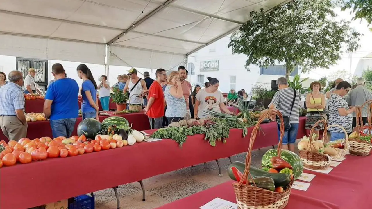 Concurso de Hortalizas, en Santa Ana, en una de sus anteriores ediciones.  - 