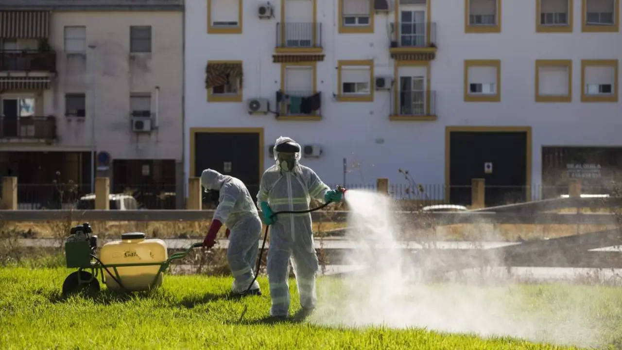Fumigaciones contra los mosquitos transmisores del virus del Nilo. - Mar&iacute;a Jos&eacute; L&oacute;pez - Europa Press