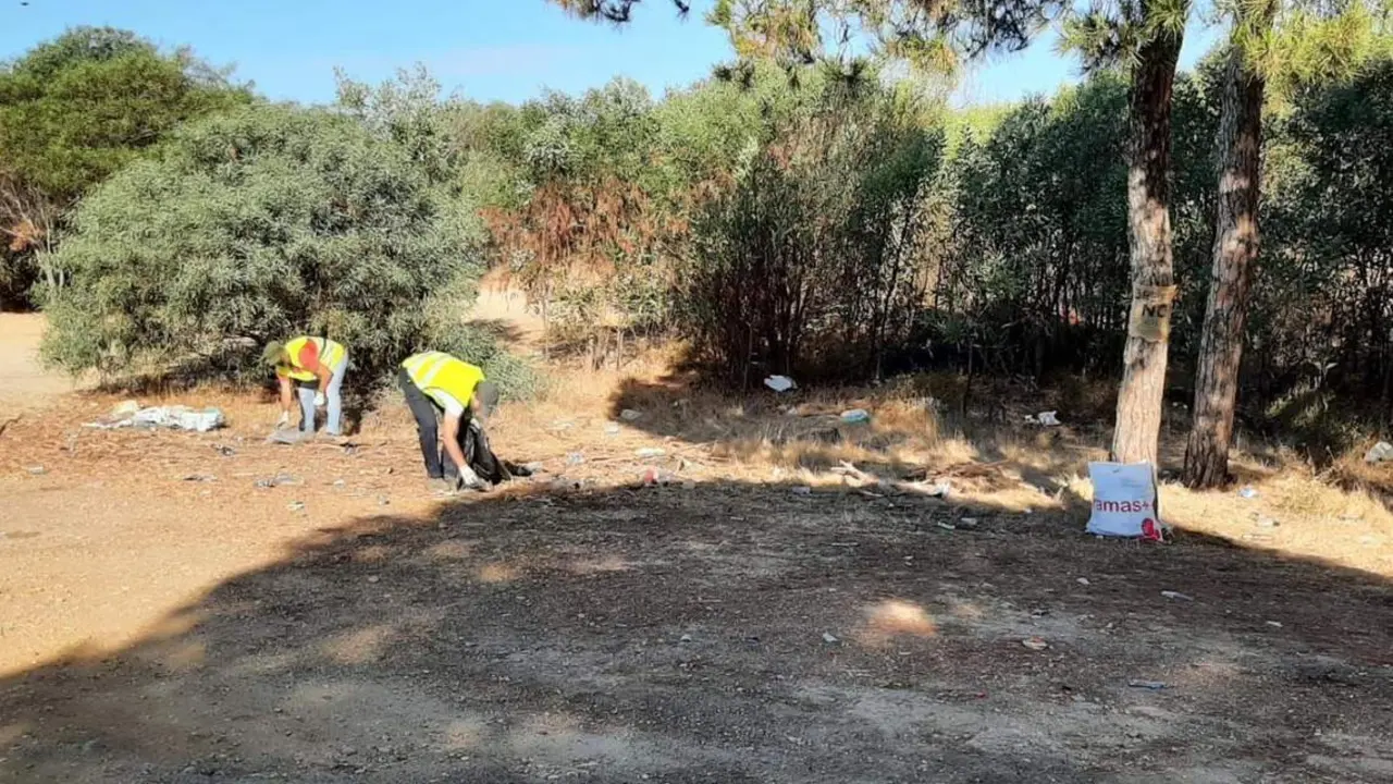 Limpieza de la zona. - VH