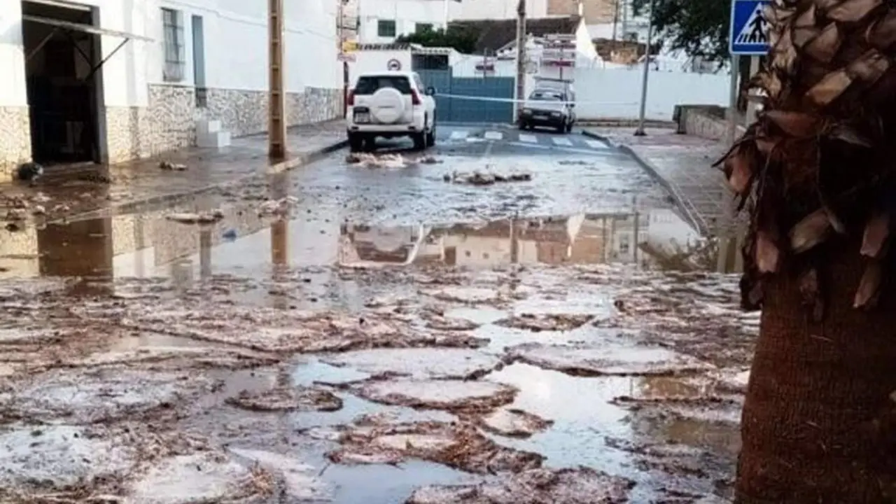  Da&ntilde;os provocados por la tormenta de granizo. - AYTO BADOLATOSA