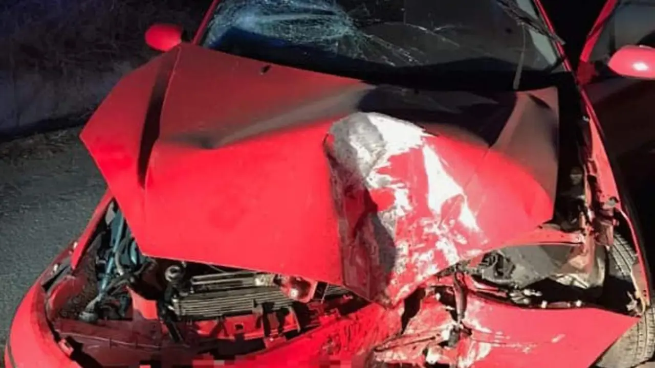 Estado en el que qued&oacute; el veh&iacute;culo. - Polic&iacute;a Local &Eacute;cija