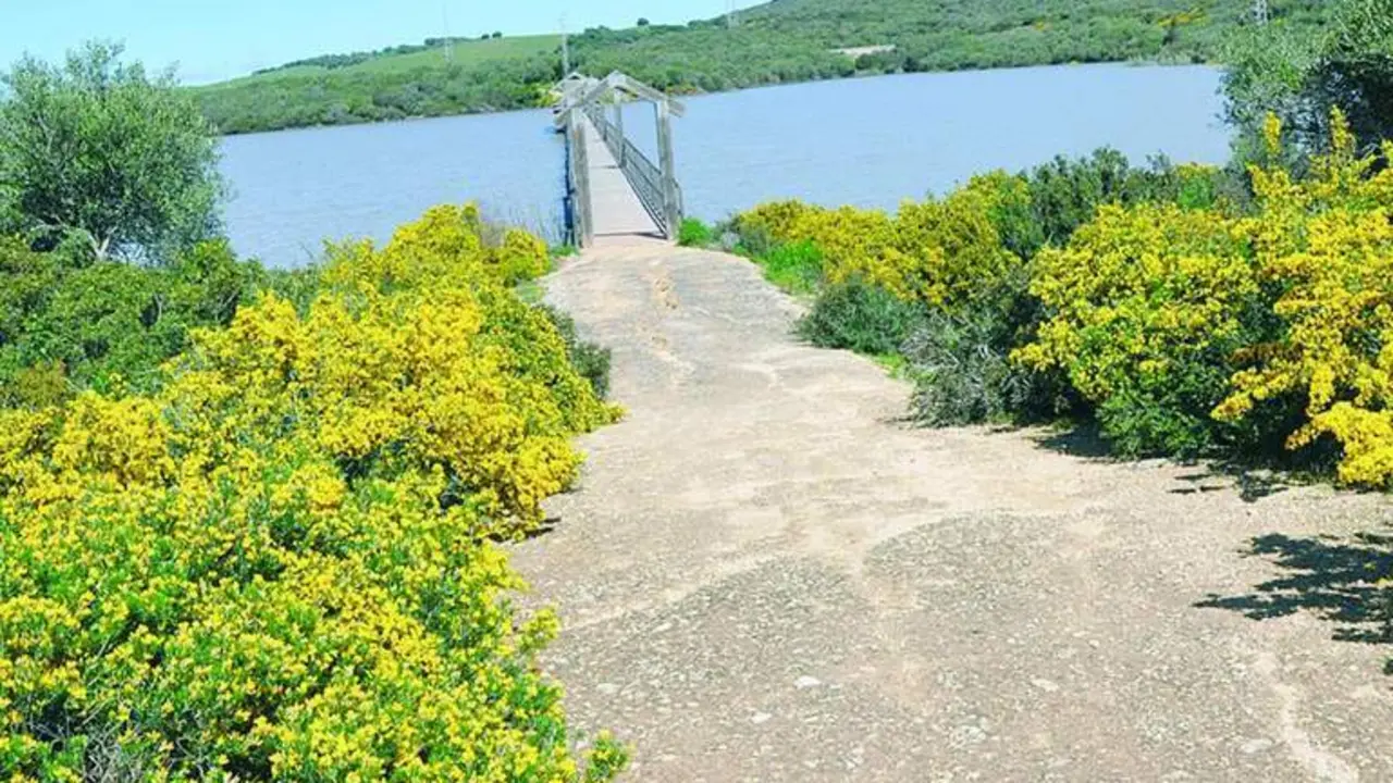 Puente de madera sobre el embalse del Celem&iacute;n, del corredor verde Dos Bah&iacute;as.  - Junta