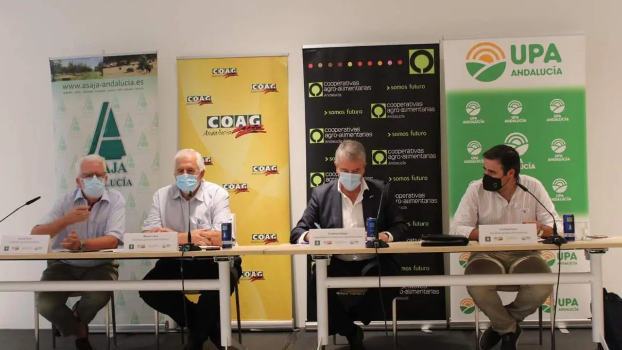 Los responsables de las principales organizaciones agrarias de Andaluc&iacute;a, en rueda de prensa hoy. - Cedida