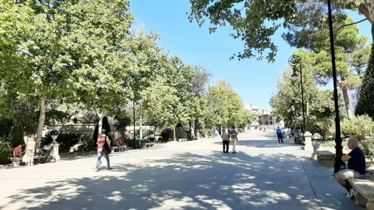 Paseo de los &Aacute;lamos.  - JJM