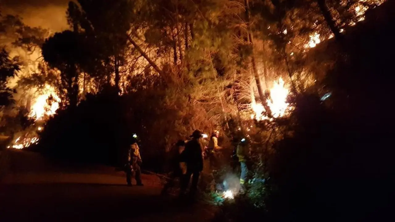 El incendio forestal declarado en Sierra Bermeja, en M&aacute;laga. - 112