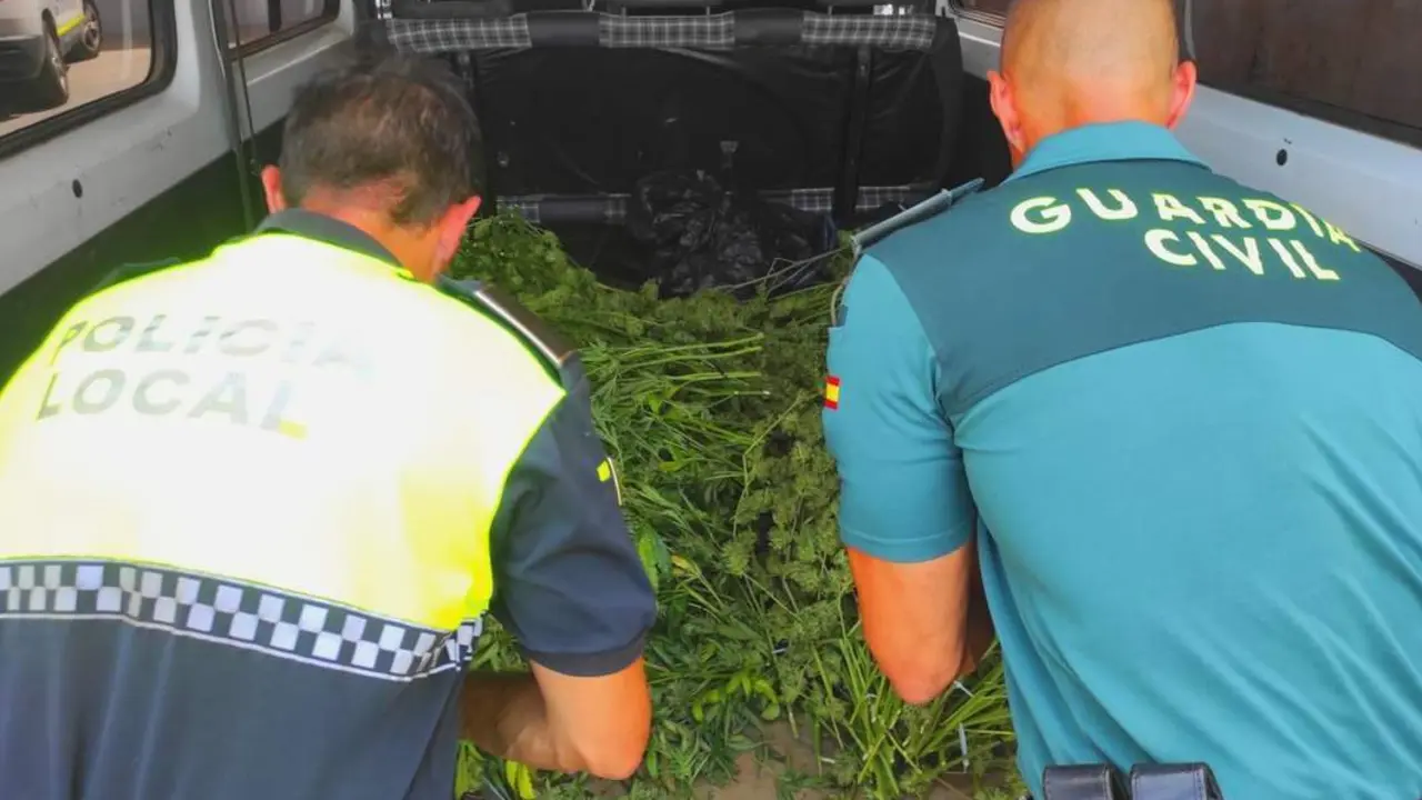 Intervenci&oacute;n por parte de la Polic&iacute;a Local de Casabermeja y la Guardia Civil. - Polic&iacute;a Local de Casabermeja