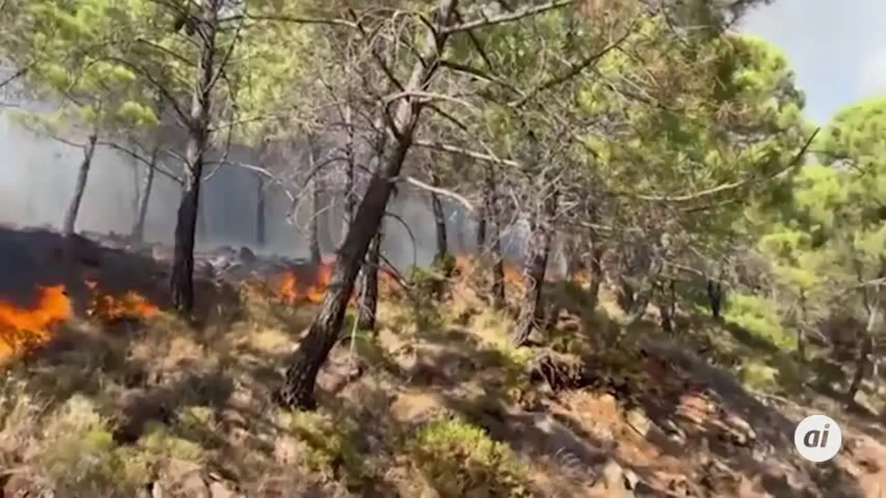 Un bombero forestal pierde la vida mientras trabajaba en el incendio de Sierra Bermeja