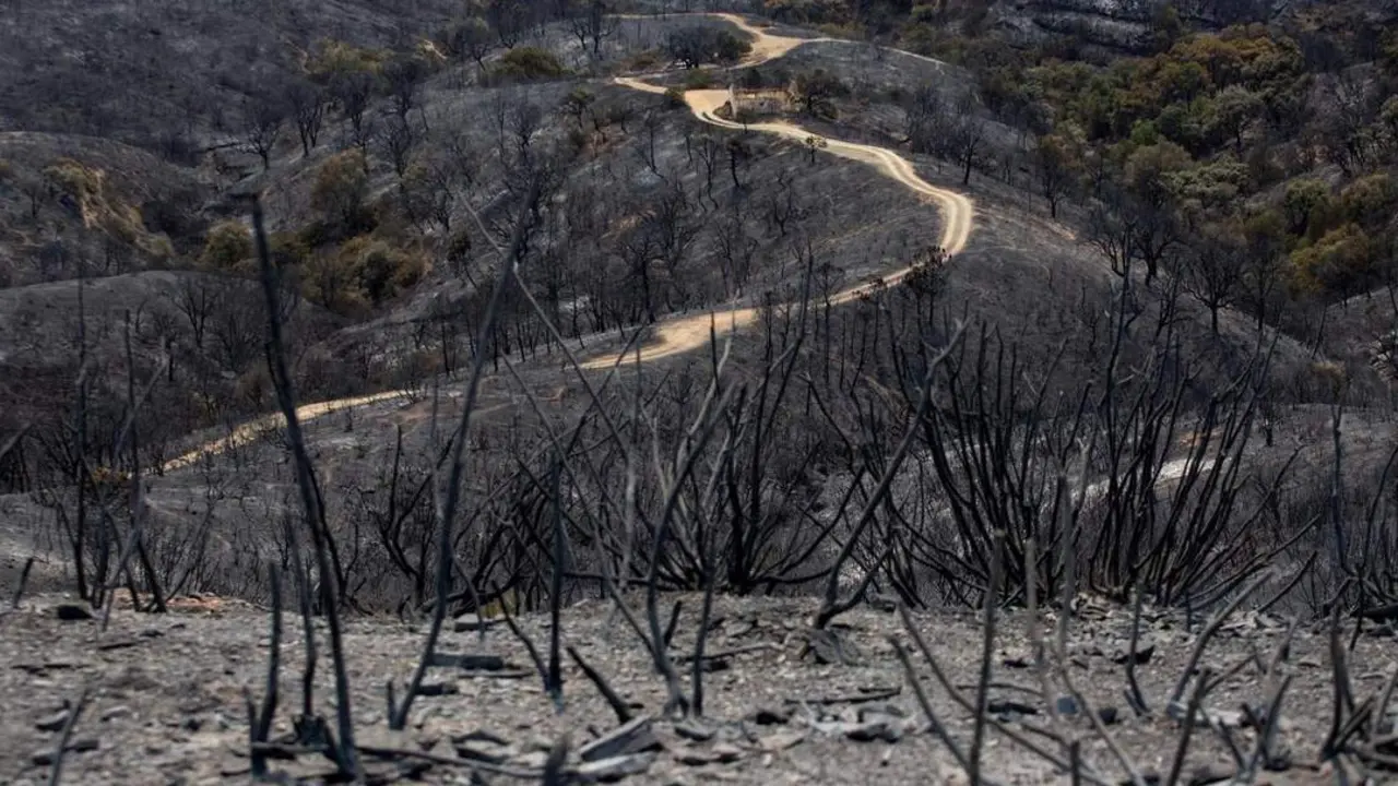 Incendio en Sierra Bermeja. - EFE