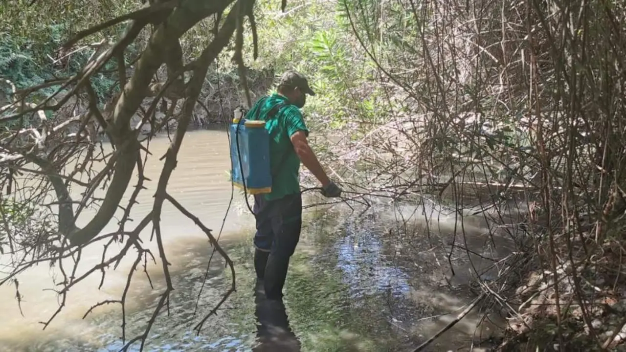 Trabajador fumigando. - Ayuntamiento