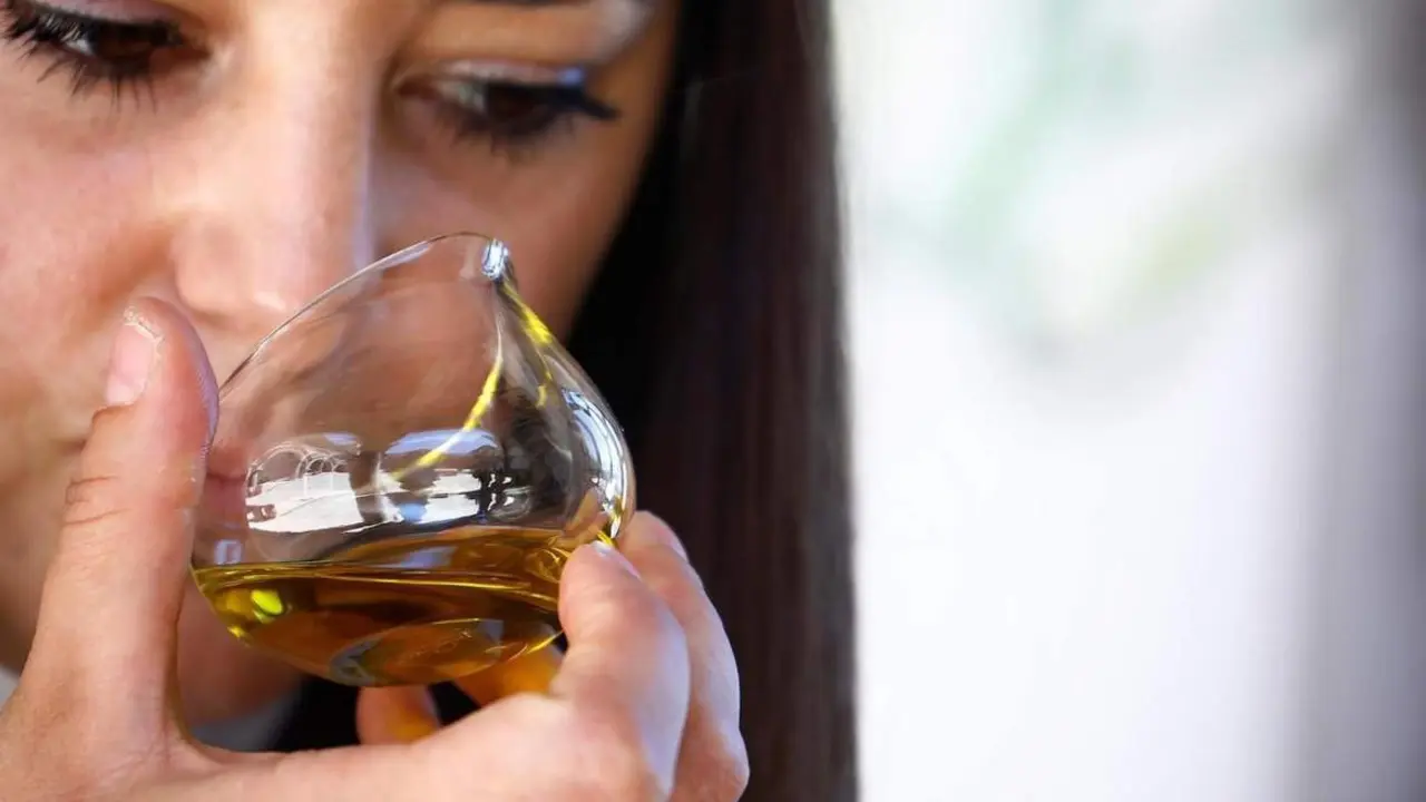 cata de aceite. - efe