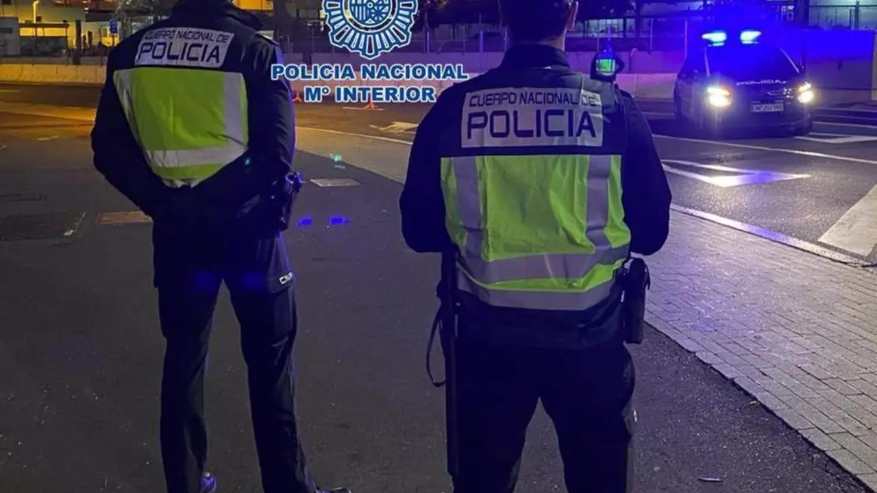 Agentes de la Polic&iacute;a Nacional, en una imagen de archivo. - POLIC&Iacute;A NACIONAL