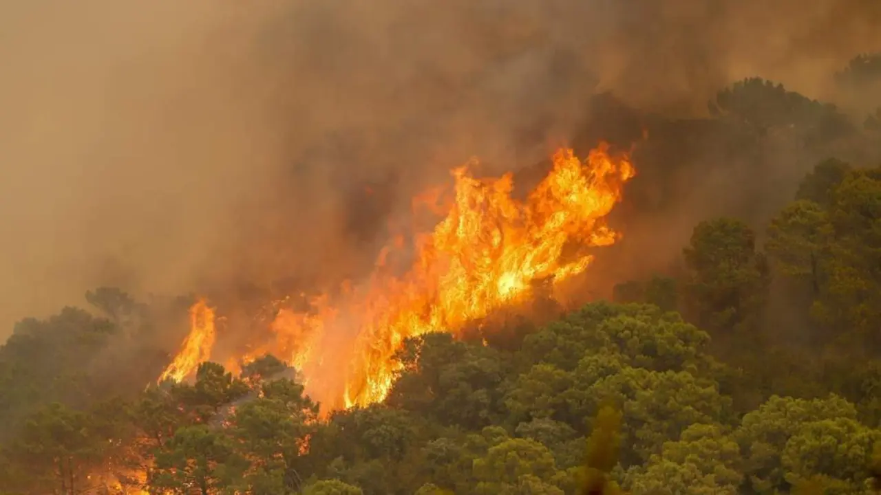 Incendio Sierra Bermeja. - Europa Press