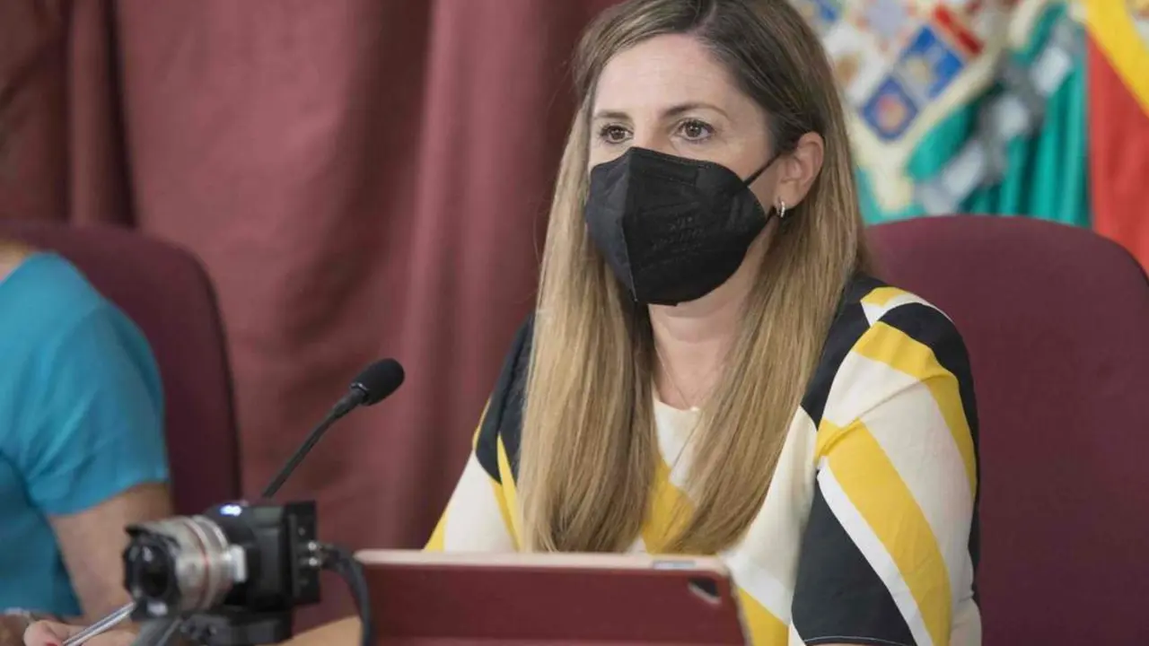 La presidenta de Diputaci&oacute;n, Irene Garc&iacute;a, durante el Pleno. - Informaci&oacute;n.