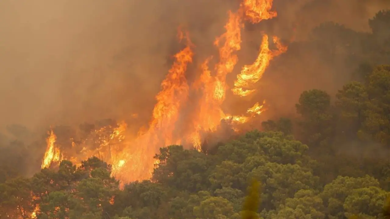 Incendio en Sierra Bermeja. - &Aacute;lex Zea/EP