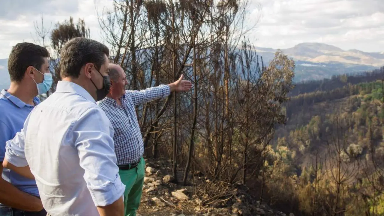 El presidente de la Junta de Andaluc&iacute;a, Juanma Moreno, visita la zona del incendio de Sierra Bermeja. - EFE/&Aacute;lvaro Cabrera