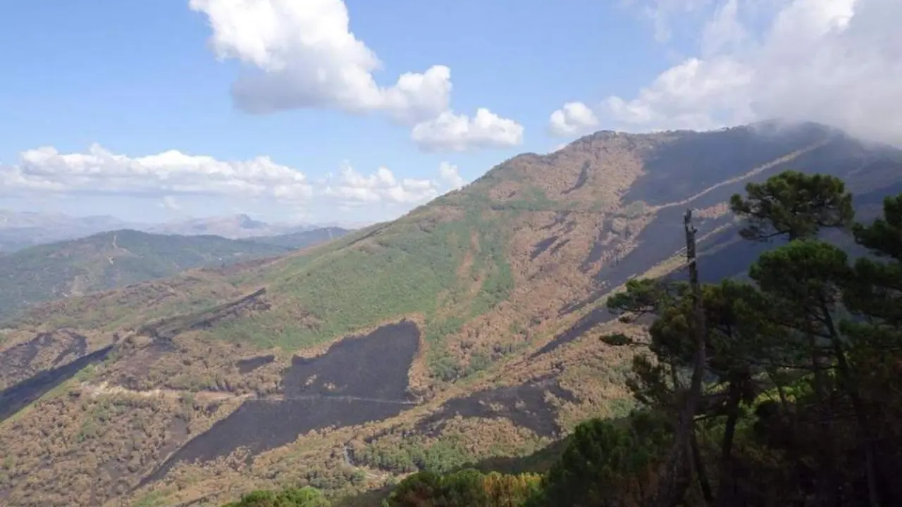 Sierra Bermeja. - Ecologistas en Acci&oacute;n