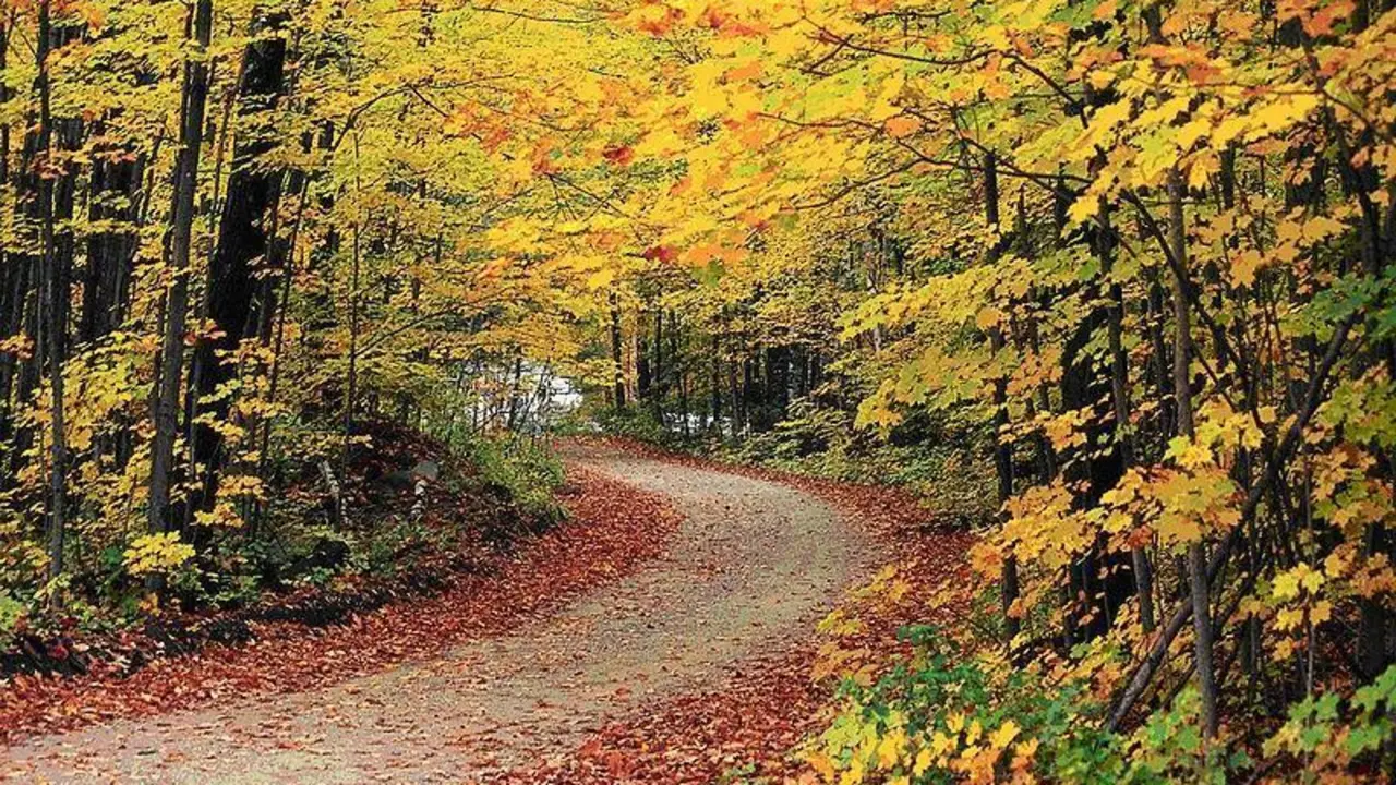 Oto&ntilde;o. - Europa Press