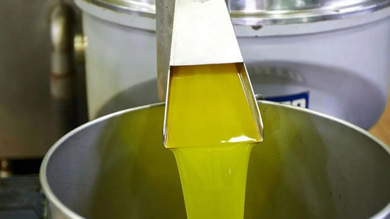 Producci&oacute;n de aceite de oliva.  - Archivo