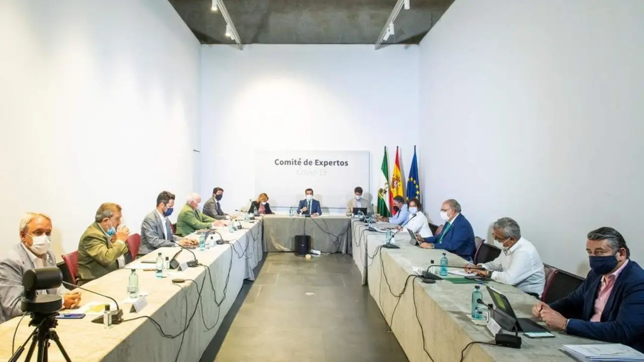 Comit&eacute; de expertos. - EFE