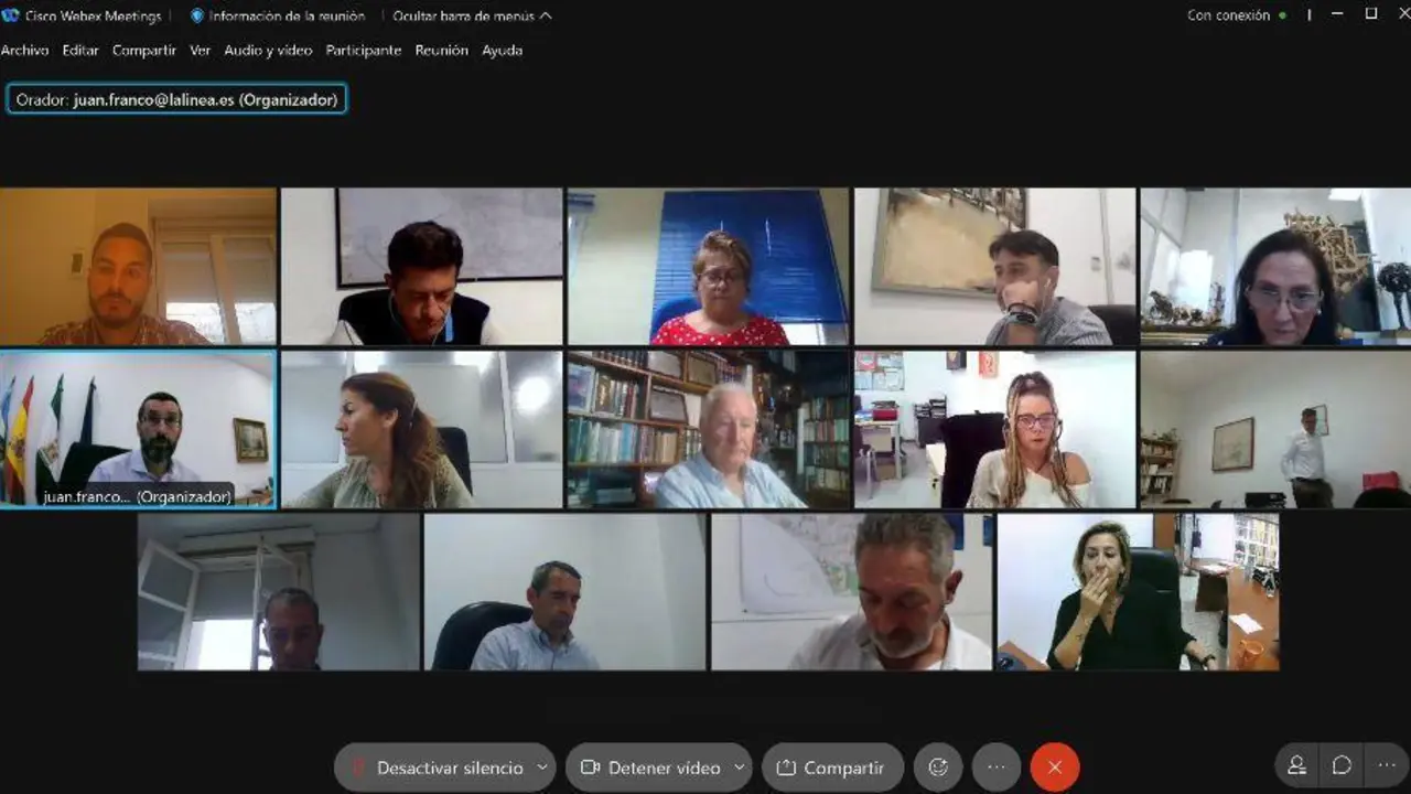 Reuni&oacute;n telem&aacute;tica sobre las distinciones. - A. I.