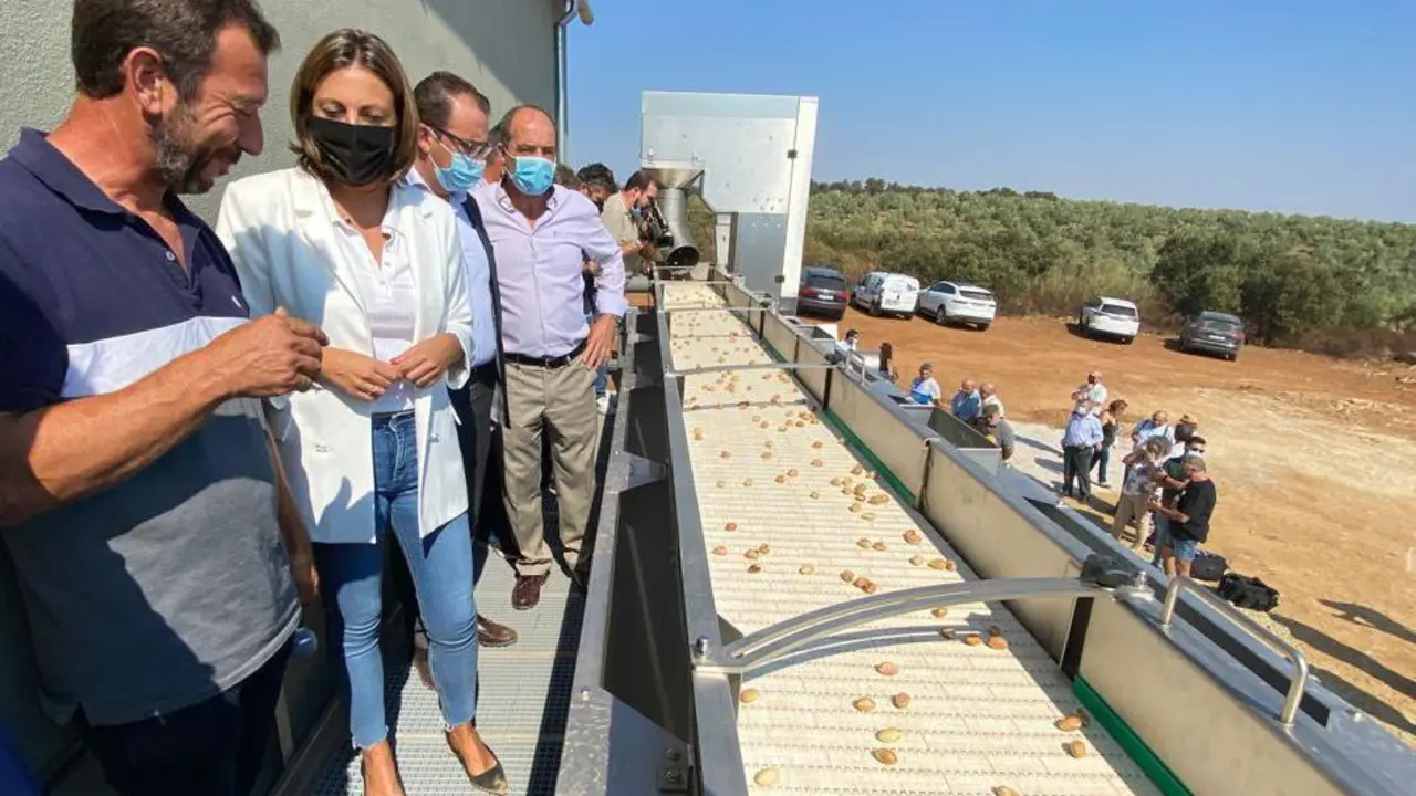 Planta procesa de pistachos en Ronda. - Ayto. Ronda
