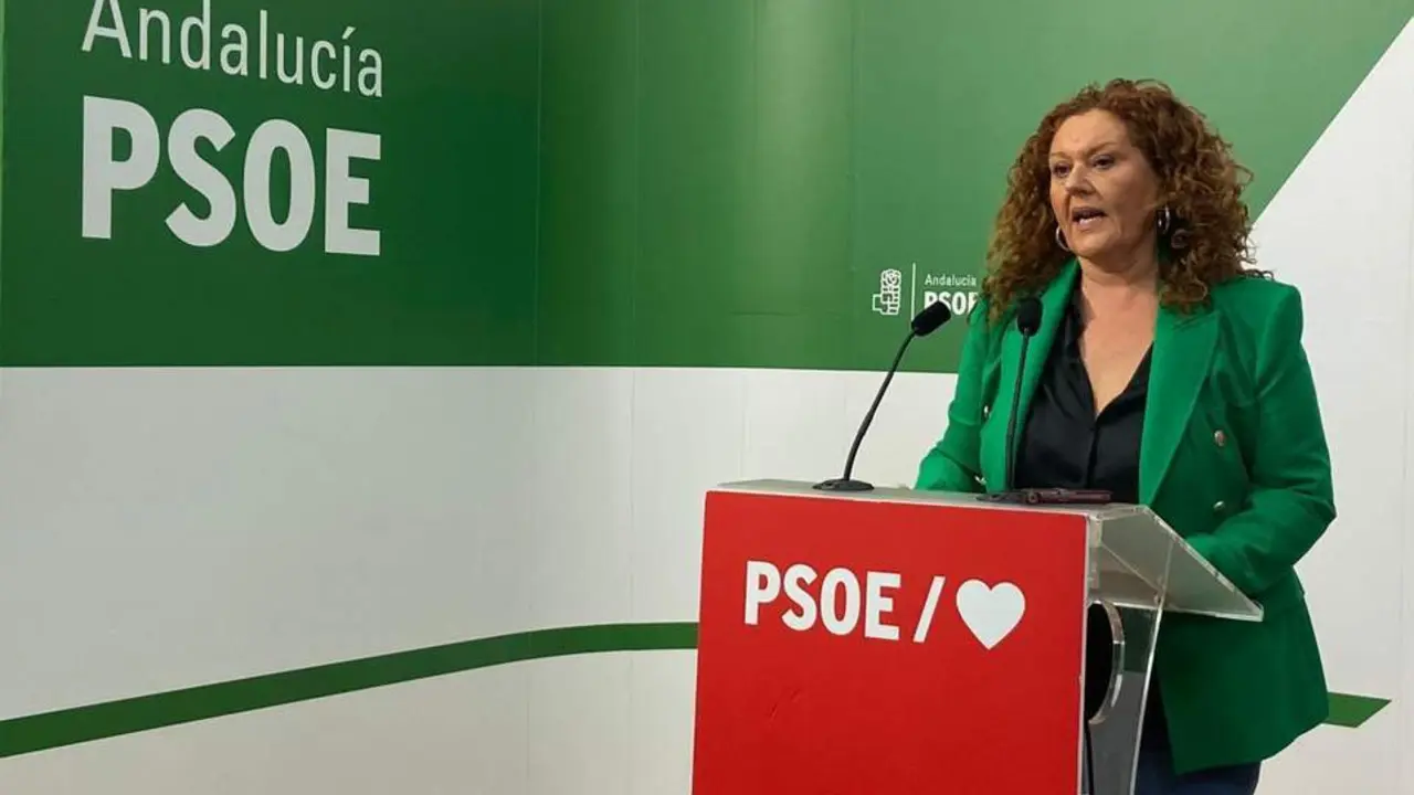 Araceli Maese en rueda de prensa - PSOE