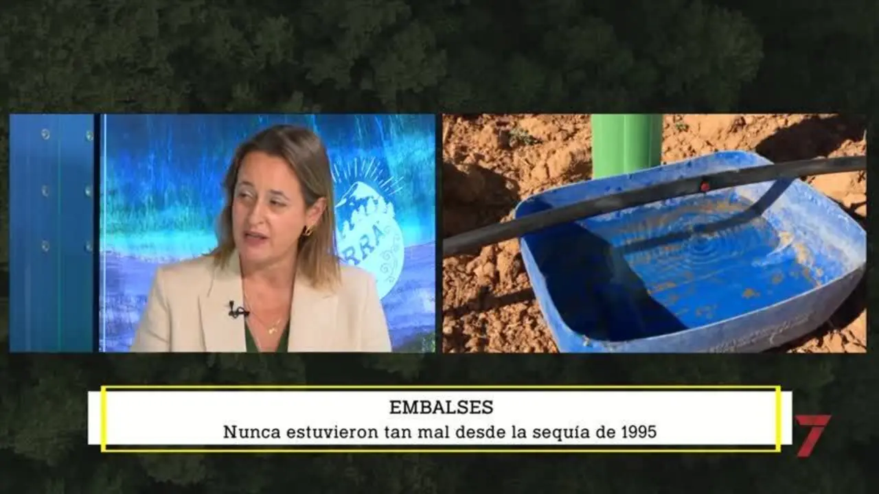El Guadalquivir registra un 9% menos de lluvia en los &uacute;ltimos veinte a&ntilde;os