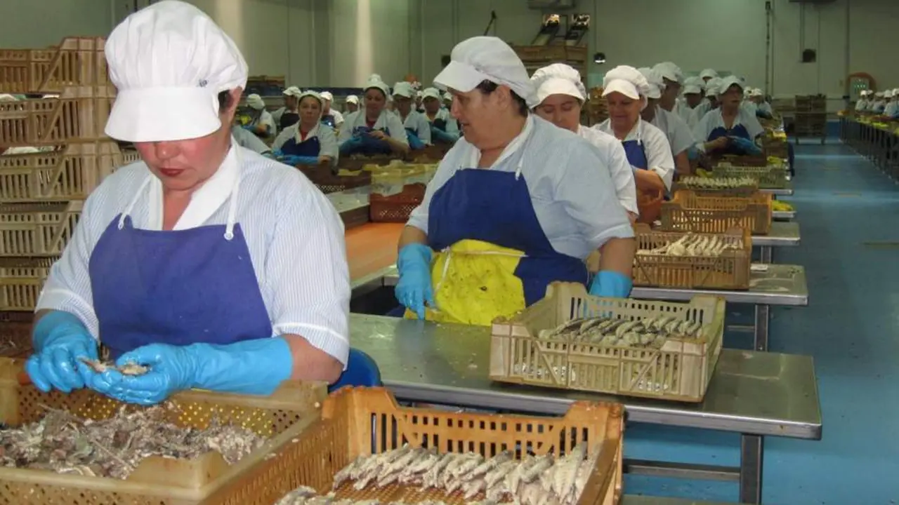 Trabajadoras en una planta conservera de Isla Cristina. - EP