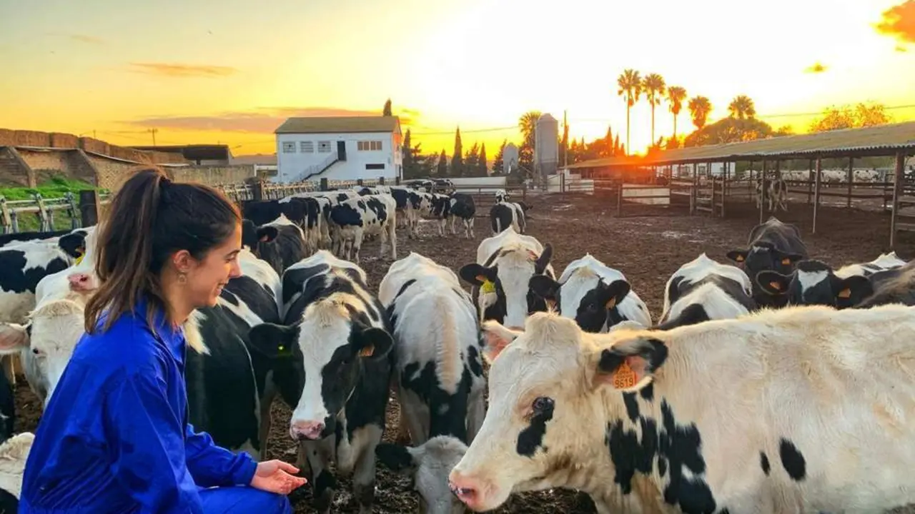 Pilar es una amante de los animales le apasiona su trabajo.  - Cedidas