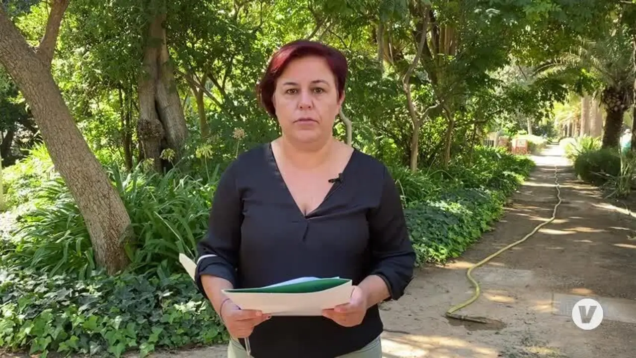 Unidas Podemos reclama un plan de forestaci&oacute;n urbana para una M&aacute;laga de barrios verdes