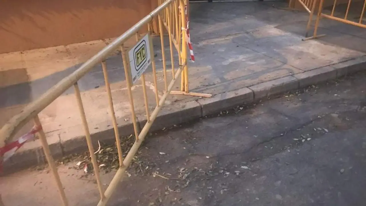 Leocadia benavente. - VIVA